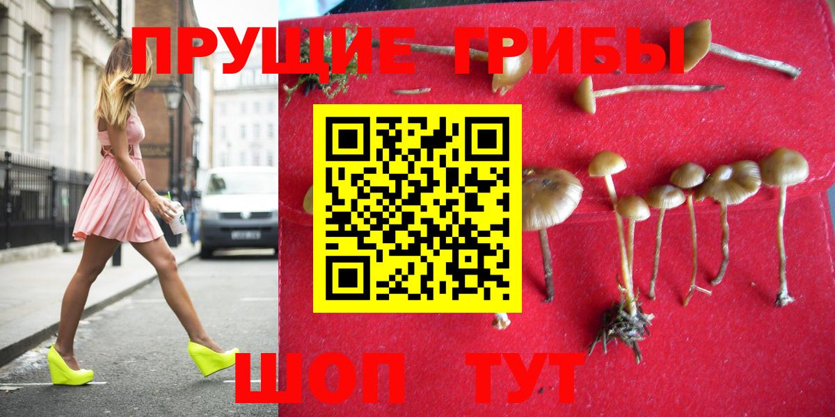 Псилоцибиновые грибы Magic Shrooms  Вход с VPN  Кудымкар 